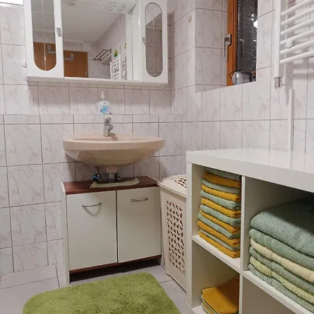 Haus Wagner- Wildschoenau Premium Card Inclusive Apartment Niederau