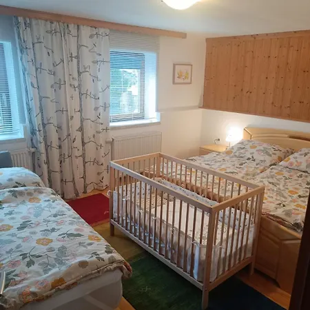 Apartment Haus Wagner- Wildschoenau Premium Card Inclusive *